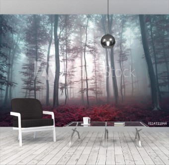 Picture of Magic violet red colored foggy forest tree landscape Violet red color tone filter effect used